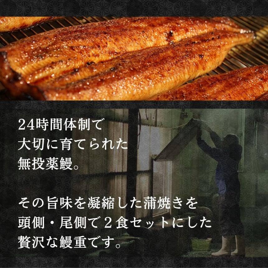 Amazon.co.jp: 【公式ストア】山田のうな重（2食入） ギフト 記念